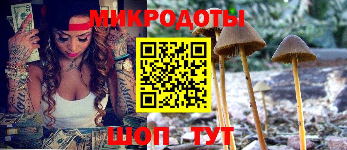 Москва  Псилоцибиновые грибы ЛСД  Вход с VPN  Псилоцибиновые грибы GOLDEN TEACHER 